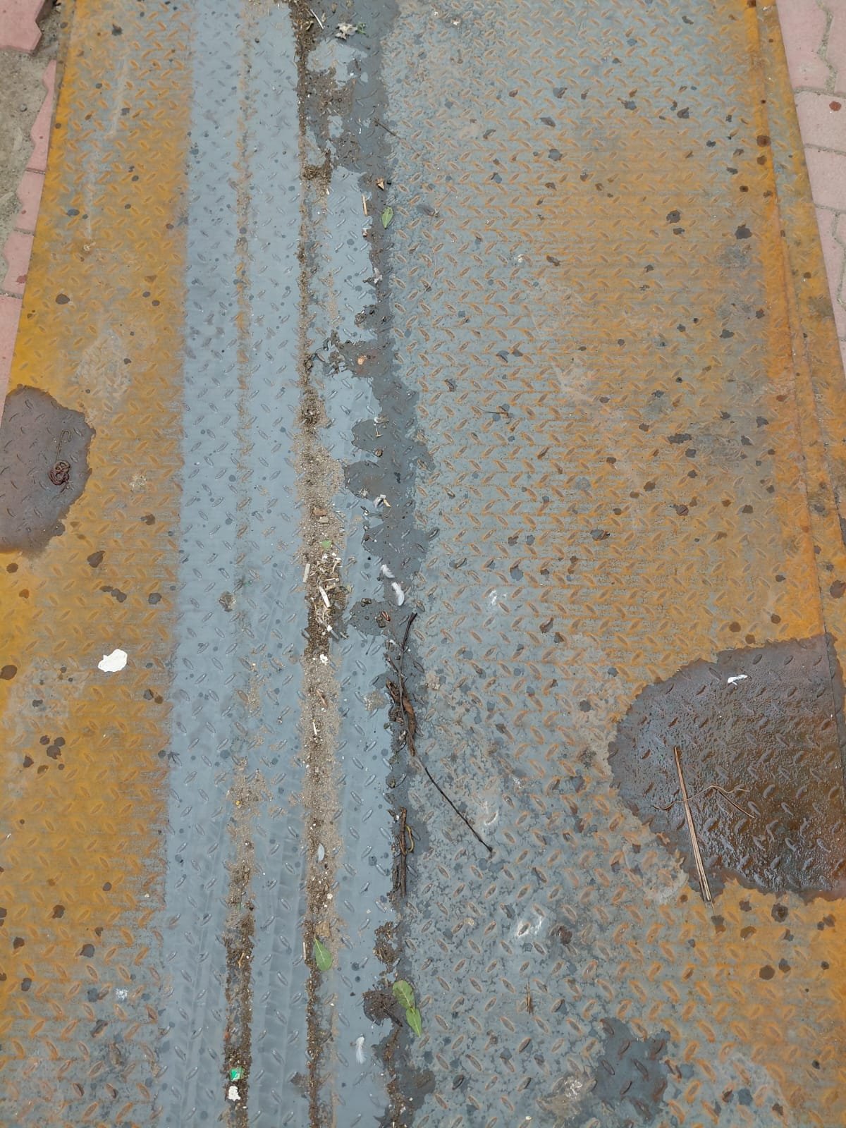 Checker Sheet - photo 2