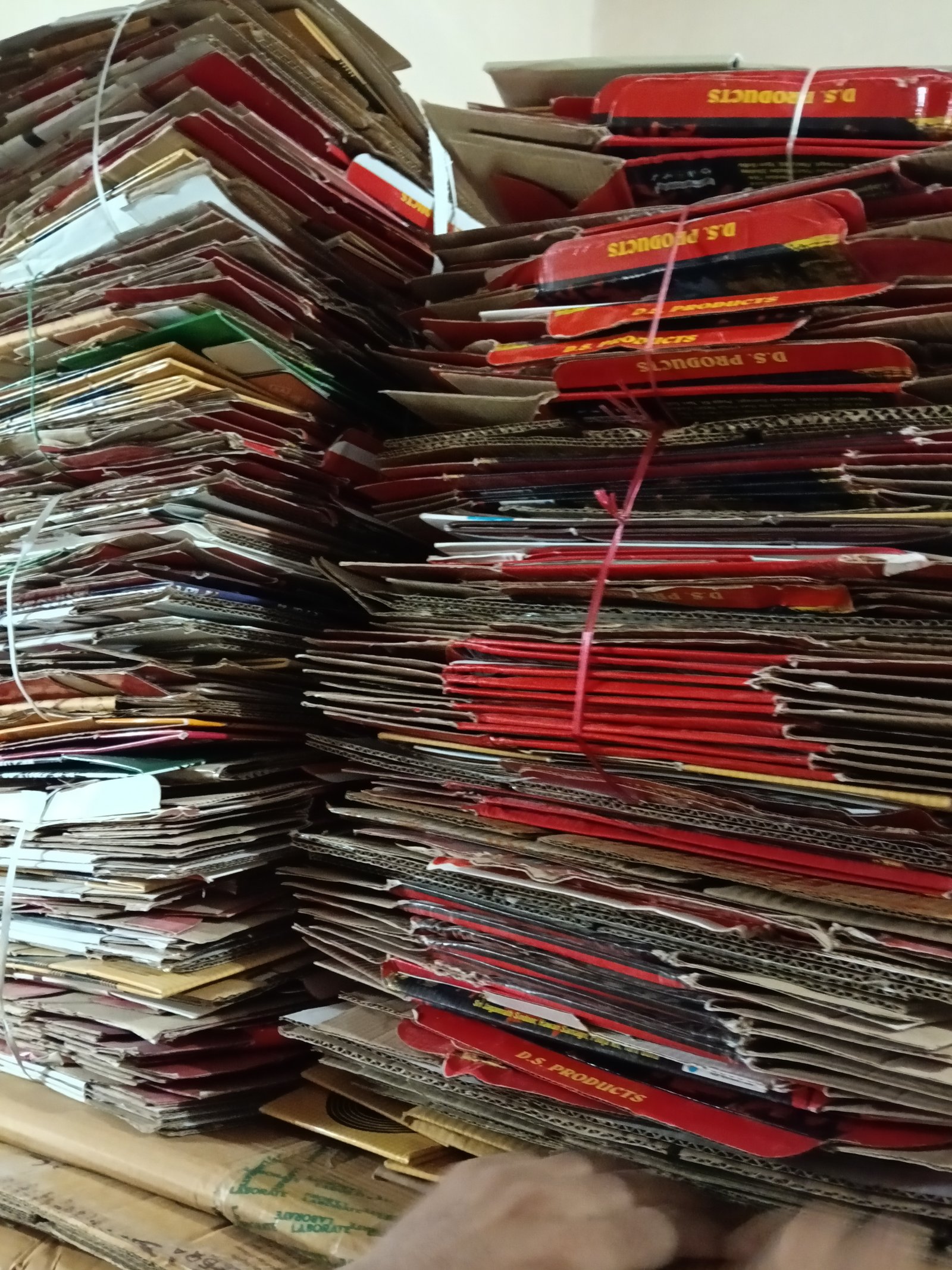 cardboard (gatta) sell - photo 3