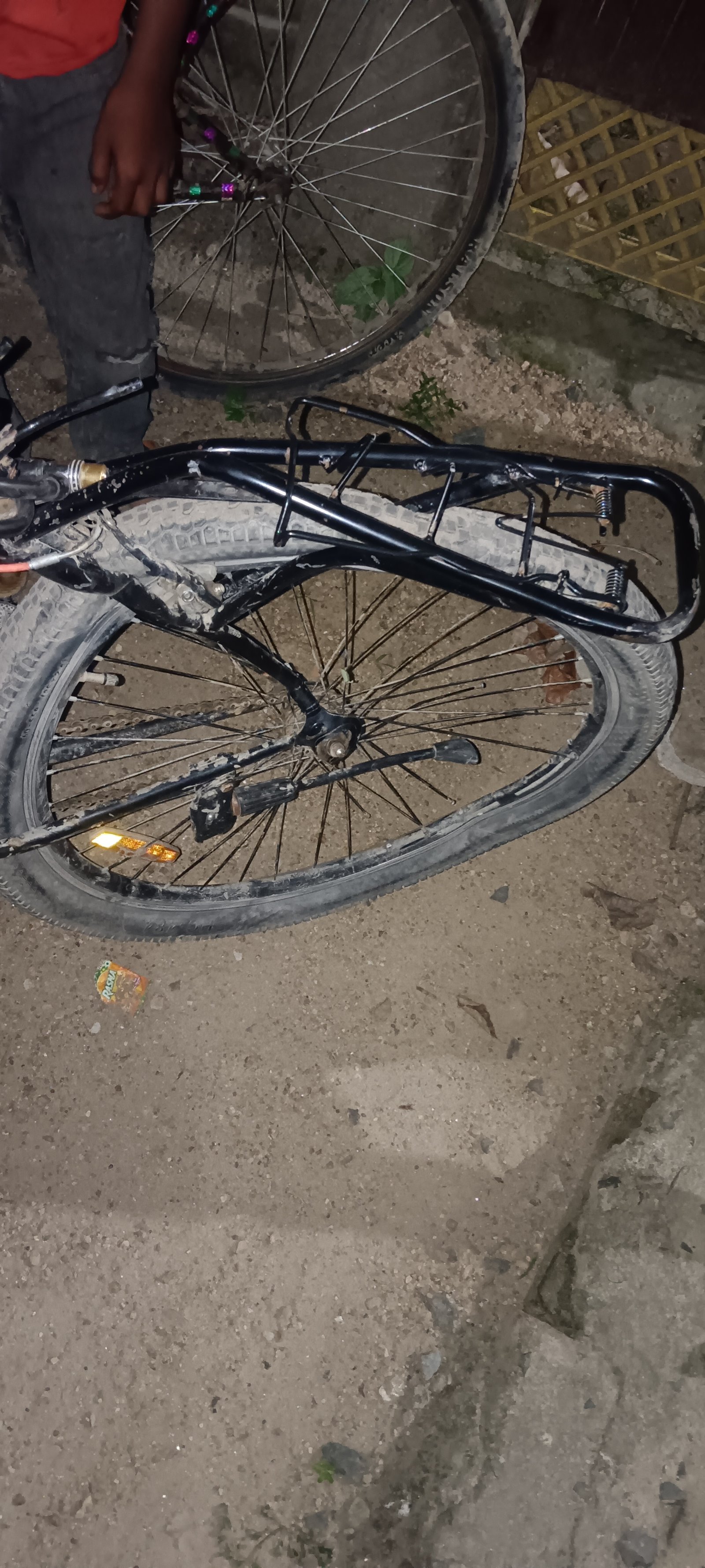gang cycle - photo 3