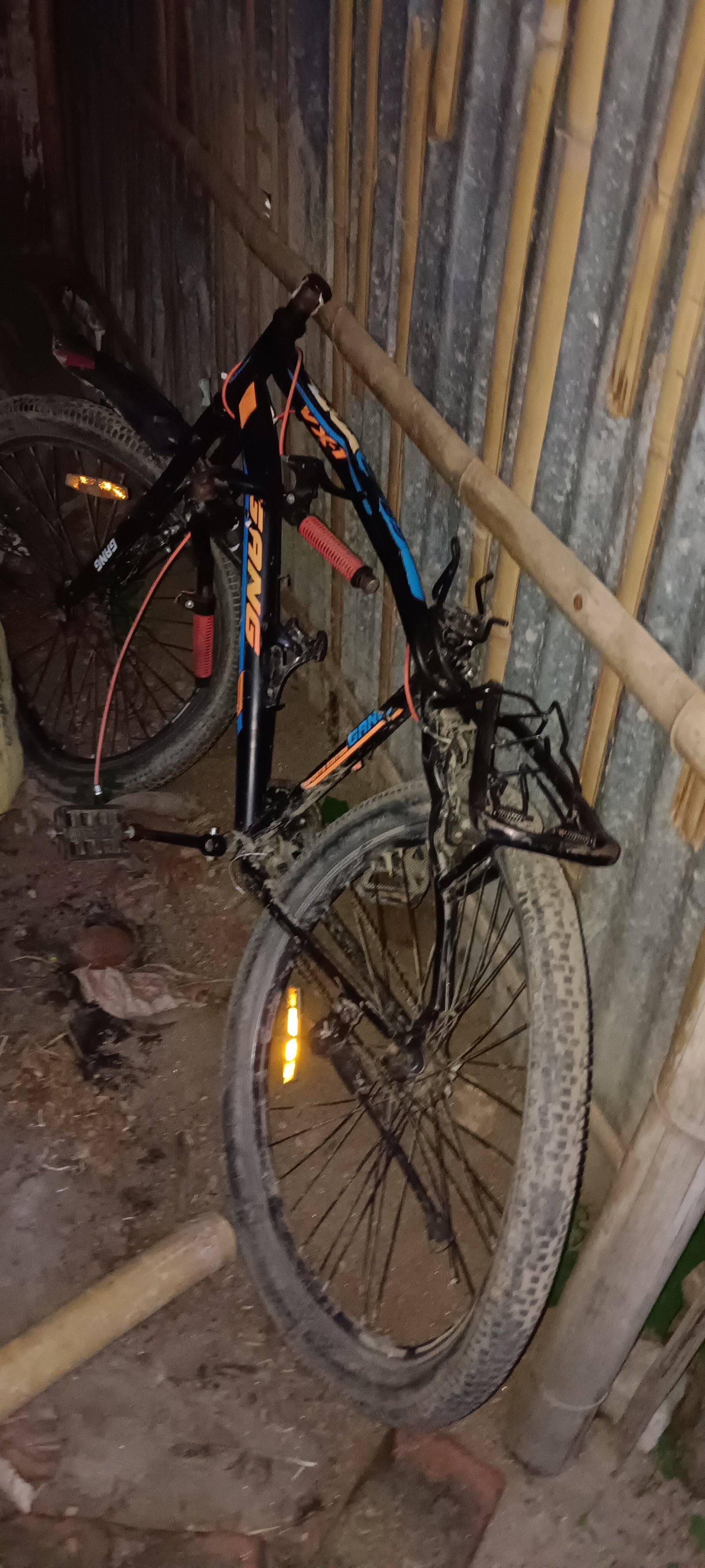gang cycle - photo 4