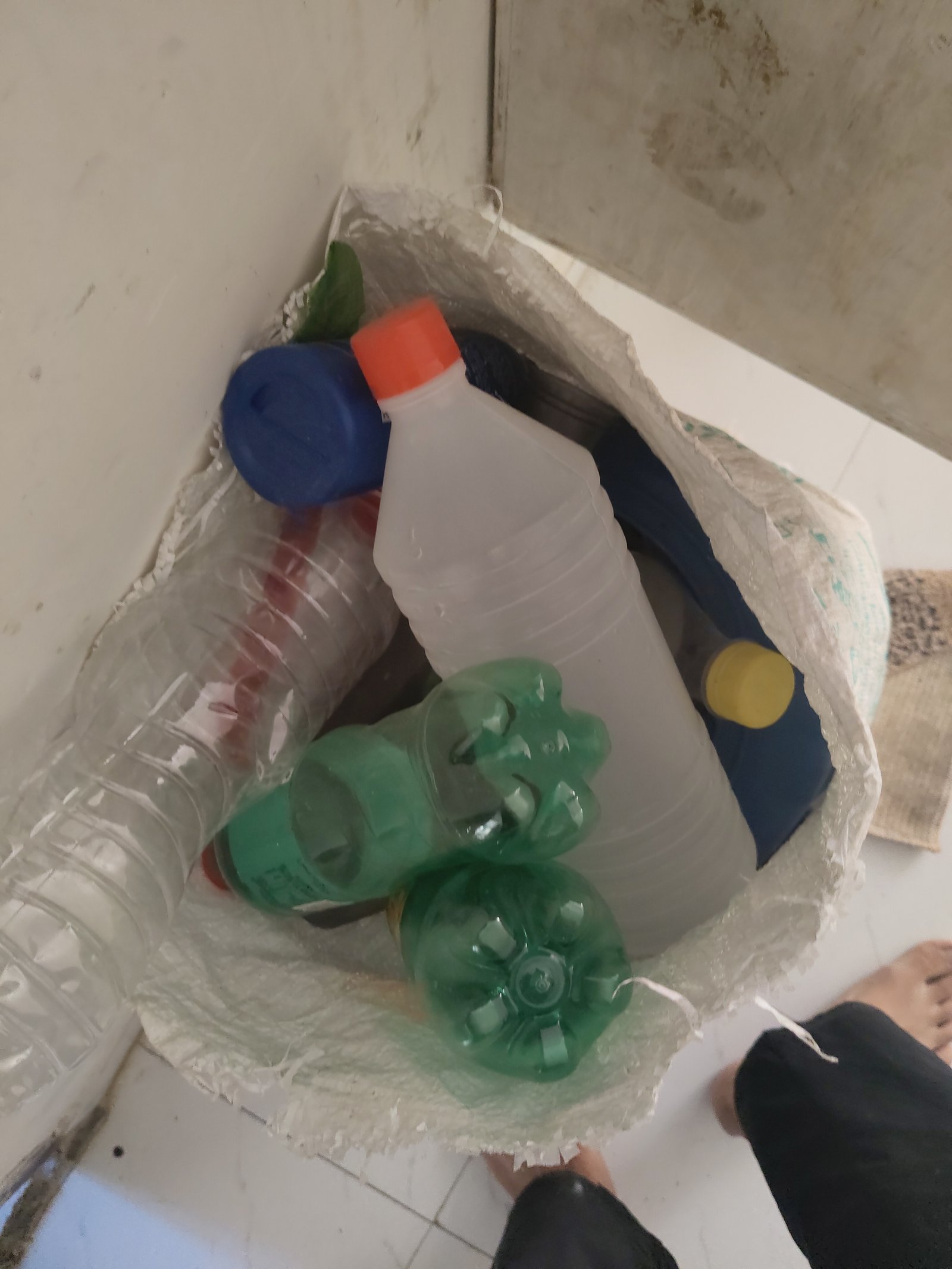 plastic bottles - Free Items